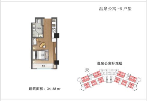 仙那度云臺山水奇境小鎮(zhèn)溫泉公寓B戶型