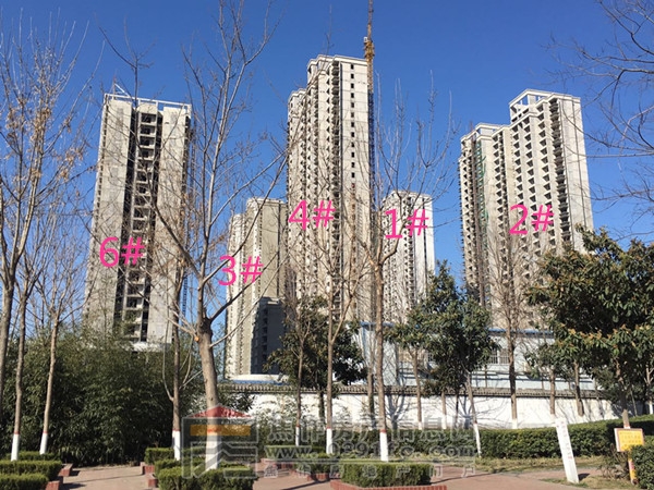鳥(niǎo)瞰圖