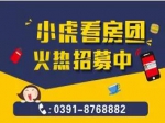 八月焦作房產(chǎn)網(wǎng)小虎免費(fèi)看房團(tuán)開始報(bào)名了